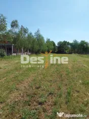 Teren Intravilan 12500 mp Drajna de Sus - Teisani.