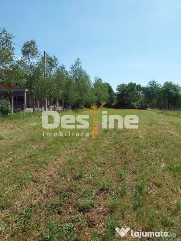 Teren Intravilan 12500 mp Drajna de Sus - Teisani. - Drajna De Sus (Prahova)