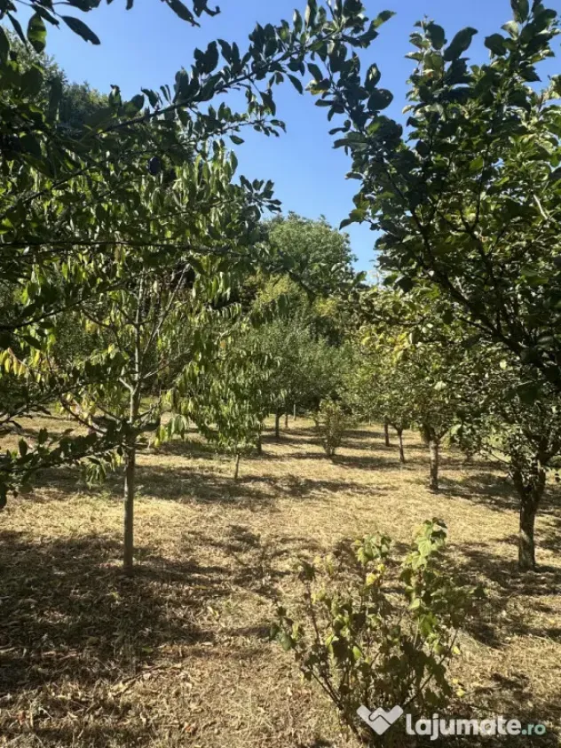 Casă zona Budești pretabilă pensiune.