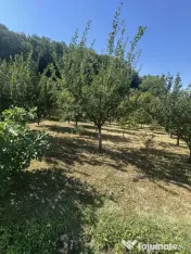 Casă zona Budești pretabilă pensiune.