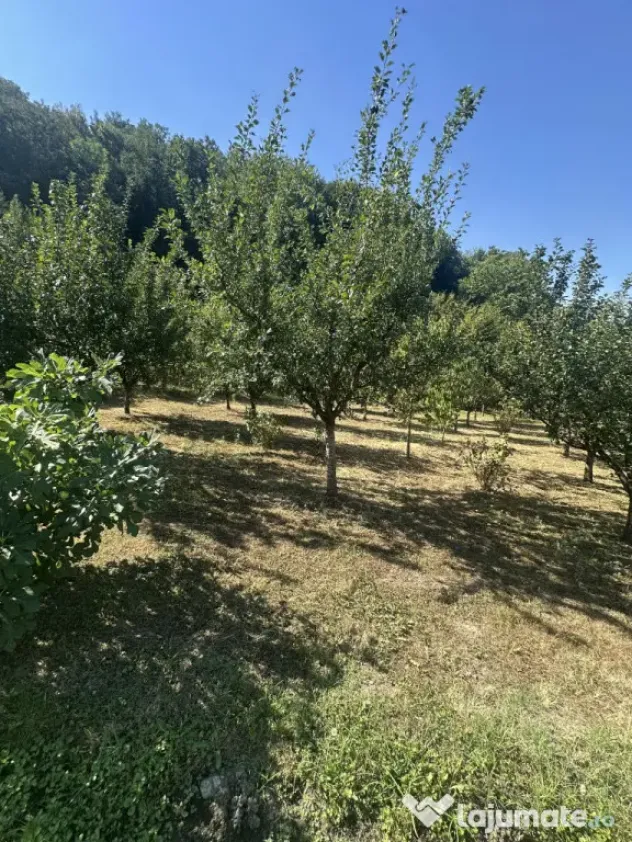 Casă zona Budești pretabilă pensiune.