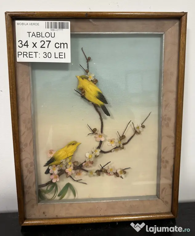 6 buc Tablou Vintage Diverse marimi si Rame; Tablou vechi; Arta; Ilustratii