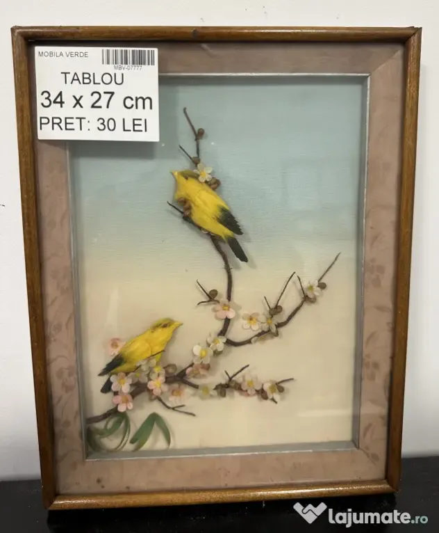 6 buc Tablou Vintage Diverse marimi si Rame; Tablou vechi; Arta; Ilustratii