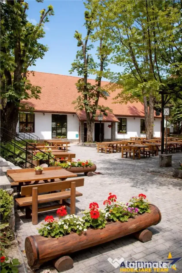 Complex Gastronomic:Afacere la cheie, Restaurant traditional