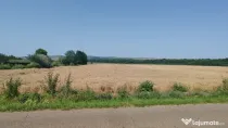 Teren extravilan Balteni, Vaslui, la limita intravilanului