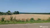 Teren extravilan Balteni, Vaslui, la limita intravilanului 