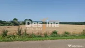 Teren extravilan Balteni, Vaslui, la limita intravilanului 