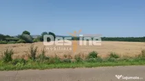 Teren extravilan Balteni, Vaslui, la limita intravilanului