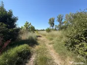 Teren 6.325 mp în Lăpuș Argeș cu proiect și autorizați 