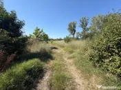 Teren 6.325 mp în Lăpuș Argeș cu proiect și autorizați 