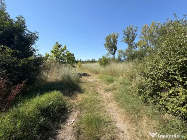 Teren 6.325 mp în Lăpuș Argeș cu proiect și autorizați