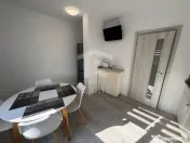 Sebastian 2 Camere 60 mp Renovat 5/8