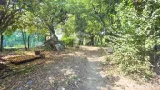 Teren intravilan generos – Țegheș, Str. Transilvaniei 