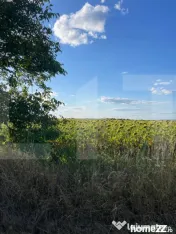 Teren extravilan de vânzare – Dorohoi 