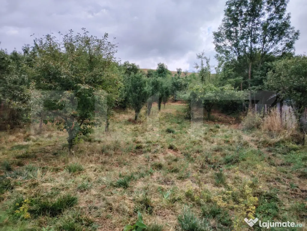 Teren intraviln, 1151 mp, zona Martinesti