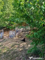 Cabană de vânzare în satul Plopi, Valea Ierii, județu... 