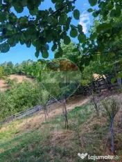 Cabană de vânzare în satul Plopi, Valea Ierii, județu... 