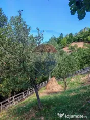 Cabană de vânzare în satul Plopi, Valea Ierii, județu... 