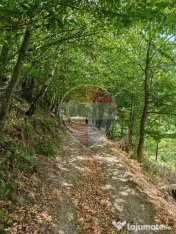 Cabană de vânzare în satul Plopi, Valea Ierii, județu... 