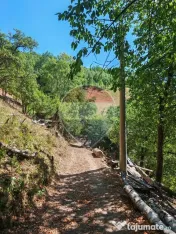 Cabană de vânzare în satul Plopi, Valea Ierii, județu... 