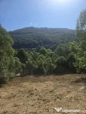 Teren Valea Doftanei, zona Pe Vale - Baraj Paltinu 