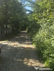 Teren Valea Doftanei, zona Pe Vale - Baraj Paltinu 