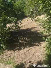 Teren Valea Doftanei, zona Pe Vale - Baraj Paltinu 