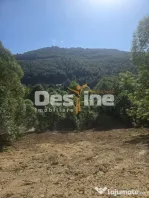 Teren Valea Doftanei, zona Pe Vale - Baraj Paltinu