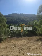 Teren Valea Doftanei, zona Pe Vale - Baraj Paltinu 