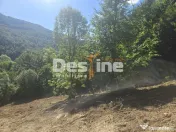 Teren Valea Doftanei, zona Pe Vale - Baraj Paltinu 