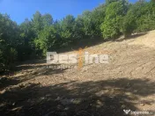 Teren Valea Doftanei, zona Pe Vale - Baraj Paltinu 