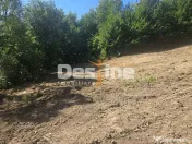 Teren Valea Doftanei, zona Pe Vale - Baraj Paltinu 