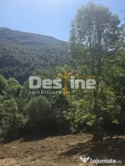 Teren Valea Doftanei, zona Pe Vale - Baraj Paltinu 