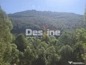 Teren Valea Doftanei, zona Pe Vale - Baraj Paltinu 
