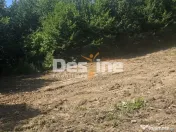 Teren Valea Doftanei, zona Pe Vale - Baraj Paltinu 