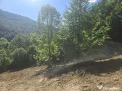 Teren Valea Doftanei, zona Pe Vale - Baraj Paltinu 