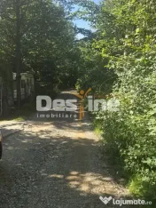 Teren Valea Doftanei, zona Pe Vale - Baraj Paltinu 
