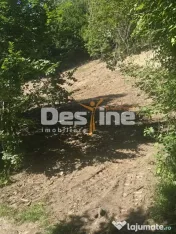 Teren Valea Doftanei, zona Pe Vale - Baraj Paltinu 