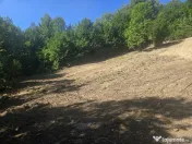 Teren Valea Doftanei, zona Pe Vale - Baraj Paltinu 