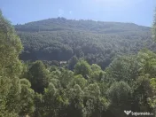 Teren Valea Doftanei, zona Pe Vale - Baraj Paltinu 
