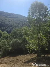 Teren Valea Doftanei, zona Pe Vale - Baraj Paltinu 