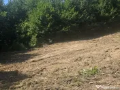 Teren Valea Doftanei, zona Pe Vale - Baraj Paltinu 