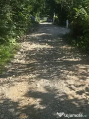 Teren Valea Doftanei, zona Pe Vale - Baraj Paltinu 