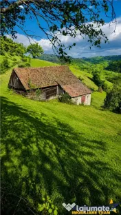 FILM! Cu view panoramic la 360 grade, teren 10.335 mp, Poian