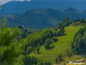 FILM! Cu view panoramic la 360 grade, teren 10.335 mp, Poian