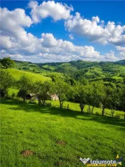FILM! Cu view panoramic la 360 grade, teren 10.335 mp, Poian