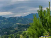 FILM! Cu view panoramic la 360 grade, teren 10.335 mp, Poian