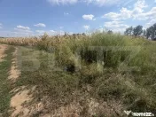 Teren extravilan, in suprafata de 9000 mp