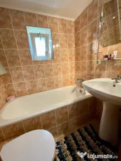 Vila cu foisor si cabana, Suceava zona centrala 