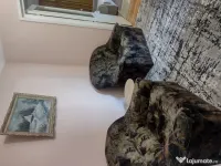 Inchiriere apt 2 D vis-à-vis de Palas 